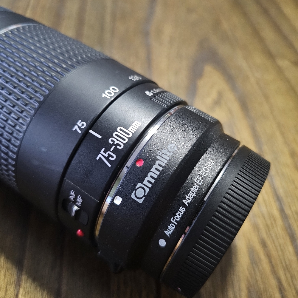 Canon Mark2 m50 lense